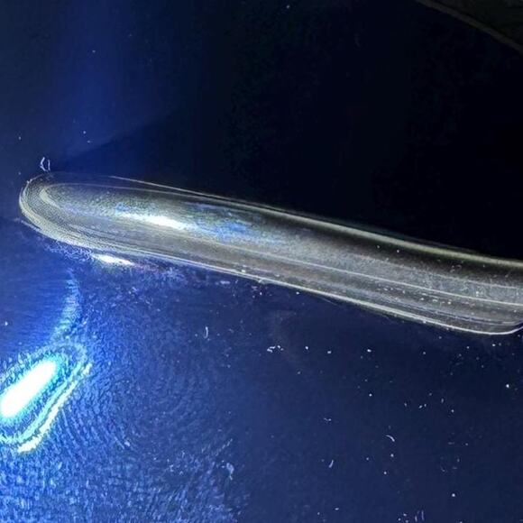 Vintage Versace Rosenthal Floralia Gold Creamer - Picture 6 of 8